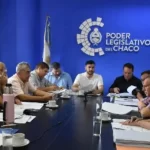 Castelán cuestiona las prioridades legislativas: “Son todas resoluciones de preocupación y beneplácito, sin ninguna implicancia para los chaqueños”