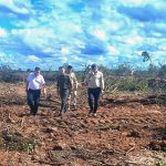 OTBN: Dudik pidió celeridad en la causa y dijo que el desmonte en Chaco cayó un 76 % en dos años