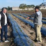 «La Huertita: un emprendimiento familiar que cultiva el futuro de Tres Isletas»