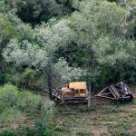 El STJ del Chaco delimita la cautelar contra desmontes: frena nuevas autorizaciones, pero no las tareas de control y fiscalización