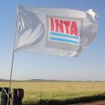 El INTA le frenó el plan de 1.500 retiros voluntarios porque el Gobierno no explica de dónde saldrá la plata