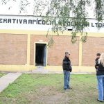 Unión y Progreso: Mejoras en la Cooperativa Apícola «La Colmena»