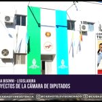 La Legislatura En Una Sesión Definitiva Para Ordenar Las Finanzas Provinciales