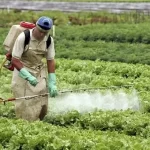 Chaco Reafirma la Prohibición de Herbicidas Hormonales: Claves para Cumplir la Normativa