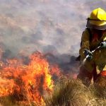 Incendios en España: murió una persona cerca de Valencia y las llamas ya arrasaron 25.000 hectáreas en Madrid y Ávila