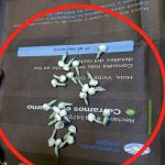 Hallan cocaína en comida navideña de detenidos: provocan incidentes en Comisaría de Sáenz Peña