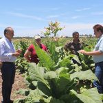 Golpe a la producción: el STJ chaqueño suspendió la Ley de Bosques Nativos y paraliza el sector forestal