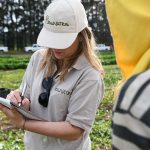 ¿Regalo de Navidad? Renatre abrió durante todo 2026 posibilidad de blanquear deudas patronales de 2025