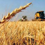 El Gobierno oficializó una reducción de retenciones para el agro y los biocombustibles por decreto