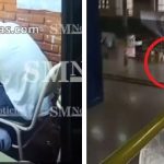 Quién era el tirador de San Cristóbal: entre la imagen de «alumno ejemplar» y las sospechas de bullying