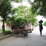 Más acciones, más trabajo en la ciudad: operativos de limpieza, desmalezado y mantenimiento en distintos sectores