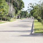 Trabajo constante para mejorar la ciudad: recambio de luminarias, poda y mantenimiento de espacios públicos