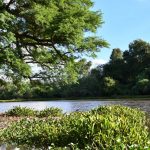 Inicio de semana con calor extremo y vientos moderados en Resistencia