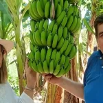 La Federación Agraria Argentina rechaza enérgicamente los actos de intimidación a dirigentes en Formosa