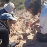 Hallaron un cocodrilo de 85 millones de años en Río Negro