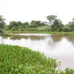 Monitoreo estratégico: Supervisión del Zanjón Salto La Vieja para asegurar el drenaje