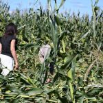 El campo tras la tormenta: Duarte relevó los daños en Colonia Vélez Sarsfield
