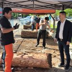 Comenzó en Sáenz Peña el «7° Encuentro Internacional de Escultores»