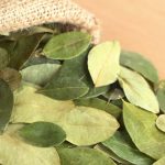 Alerta en el Norte: la crisis en Bolivia golpea al mercado de la hoja de coca y temen por desabastecimiento