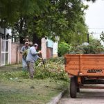 Lunes de acción: Transformando nuestro departamento paso a paso