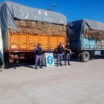 Secuestran más de 7 toneladas de semilla y fardos de alfalfa por falta de documentación