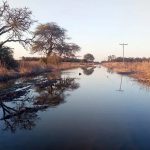 El tiempo en Santiago del Estero para este lunes 1 de junio de 2026: se esperan lloviznas y una jornada fresca