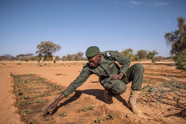 En África construyen la muralla más larga del mundo (8.000 km) para frenar el avance del desierto del Sahara