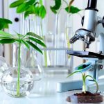 El Gobierno flexibilizó las reglas para patentar innovaciones biotecnológicas