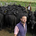 Argentina se consolida como el segundo mayor exportador mundial de carne equina, solo superada por Mongolia