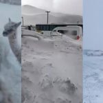Nieve, frío extremo y vientos de 170 km/h: el histórico temporal que golpea a Catamarca