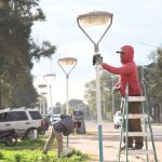 Mejoras Urbanas: Avanzan las Tareas de Forestación y Embellecimiento en los Accesos de la Ciudad