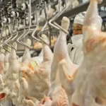El pollo le ganó a la vaca: por primera vez es la carne más consumida en Argentina