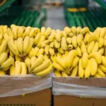Jujuy y Salta acordaron mantener los controles sanitarios a las importaciones de bananas por la desregulación «inconsulta» del sector