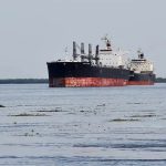 El Gobierno busca modificar la Ley de Cabotaje para permitir la navegación de buques extranjeros en aguas argentinas