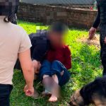 Una mujer de 93 años murió tras ser atacada por un perro en Misiones
