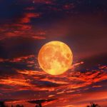 Eclipse lunar: a qué hora se verá el punto máximo en Argentina