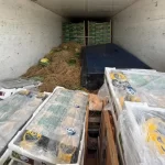 Más de 30 toneladas de mango, sandía y melón no llegaron a destino
