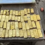 Trabajaban en una obra y encontraron lingotes y monedas de oro por un valor de 9 millones de euros