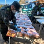 Más de 54 kilos de droga ocultos en peluches: Gendarmería detuvo a una pasajera en Catamarca