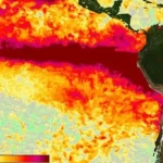 La ONU lo confirma: el Niño será «muy fuerte» y durará hasta febrero de 2027