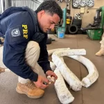 Contrabando de fármacos para adelgazar se dispara 2.069% en la Triple Frontera