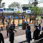 Formosa dio inicio a la 81ª Expo Rural con fuerte presencia del gobierno y elogios al «Modelo Formoseño»