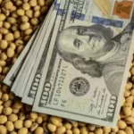 Vaca Muerta impulsa a Neuquén: la provincia ya es la tercera exportadora del país